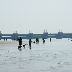 drukte op het strand