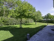 Fazant (37 of 45).jpg