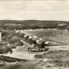 1950.jpg