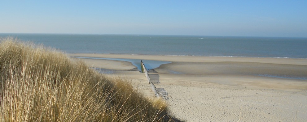 strand vanaf de duinen