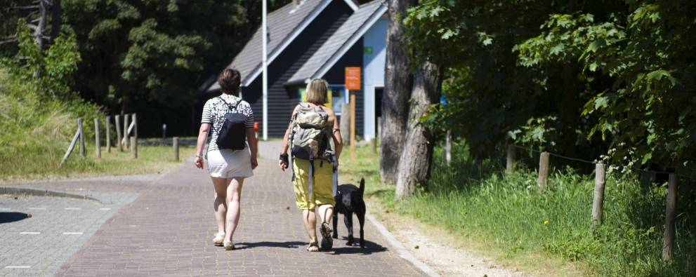 Wandelen op camping Duinoord