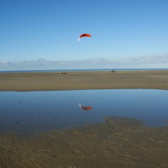 DSC09781.JPG