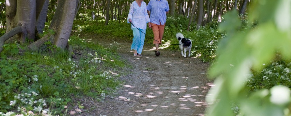 Wandelen met de hond.jpg