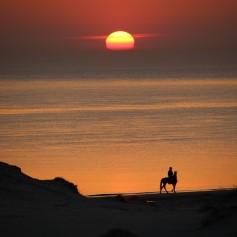zonsondergang strand paard
