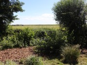 IMG_5033.JPG