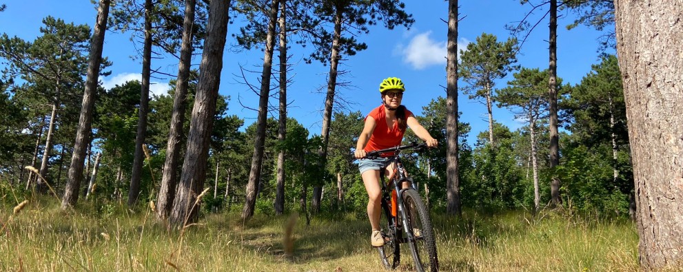 MTB Westerschouwen.JPG MTB Westerschouwen.JPG