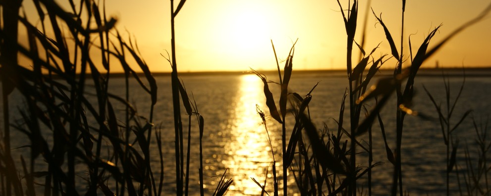 zonsondergang zonsondergang